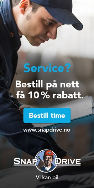 SnapDrive servicerabatt